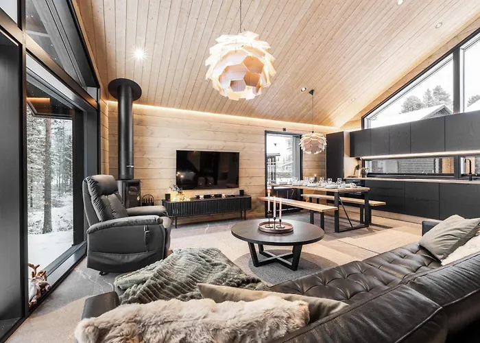 度假居 Levilakevillas B 列维