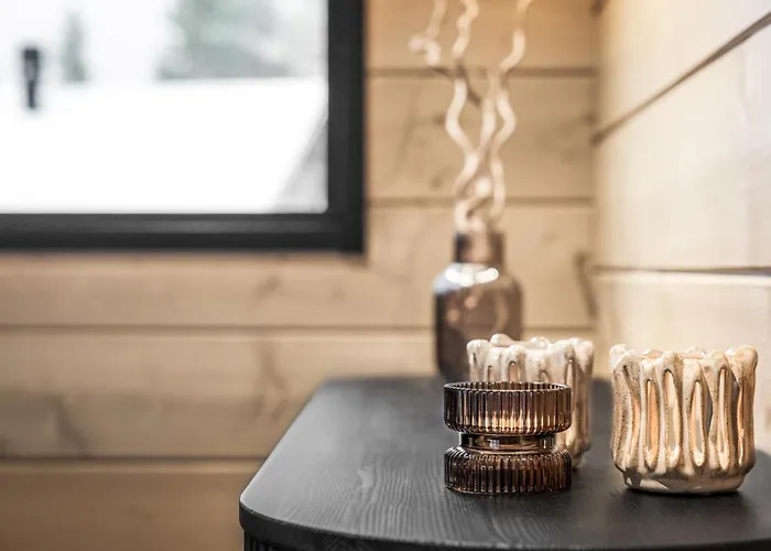 Levilakevillas B 度假居 *